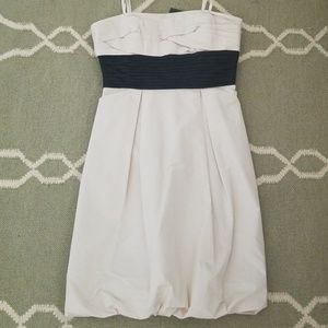 BCBG Nuetral Dress